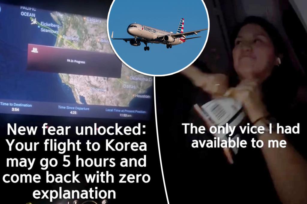 American Airlines flight suddenly turns back after 5 hours - with 'zero' explanation: 'Nine hours later we're back in Dallas'