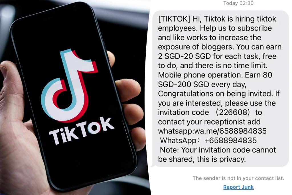 TikTok issues a scam warning - be careful if you receive this text