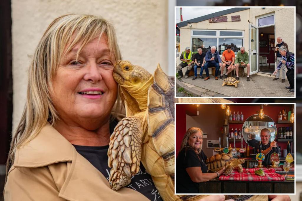 Woman brings beloved turtle everywhere - even to pubs: 'People will abandon their cars when they see us'